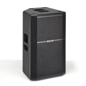 Montarbo - R110 - Altavoz activo de madera de 10" con filtro FIR y 127 dB SPL